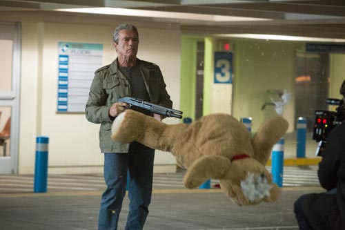 Schwarzenegger, Arnold [Terminator Genisys] Photo