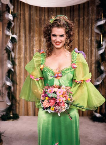 Shields, Brooke [Suddenly Susan] Photo