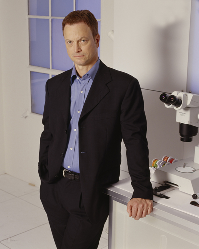 Sinise, Gary [CSI : New York] Photo