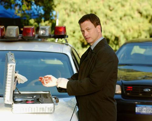 Sinise, Gary [CSI : New York] Photo