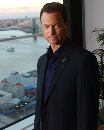 Sinise, Gary [CSI : New York] Photo