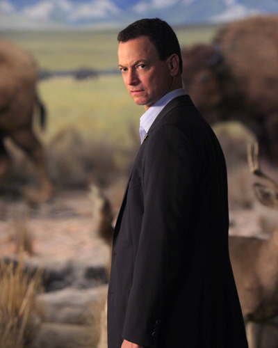Sinise, Gary [CSI : New York] Photo