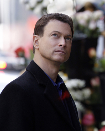 Sinise, Gary [CSI : New York] Photo
