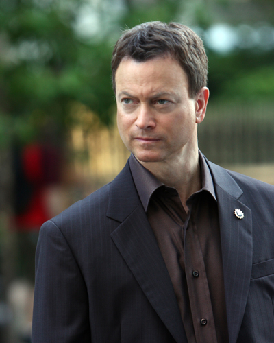 Sinise, Gary [CSI : New York] Photo
