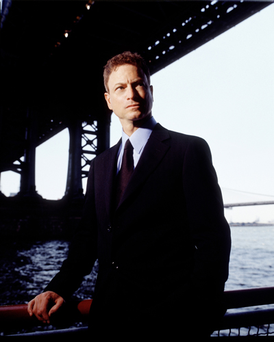 Sinise, Gary [CSI : New York] Photo