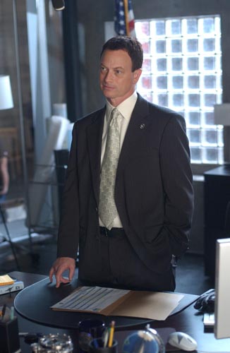 Sinise, Gary [CSI New York] Photo