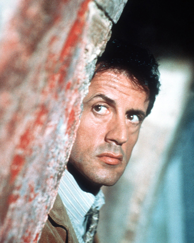 Stallone, Sylvester [Assassins] Photo