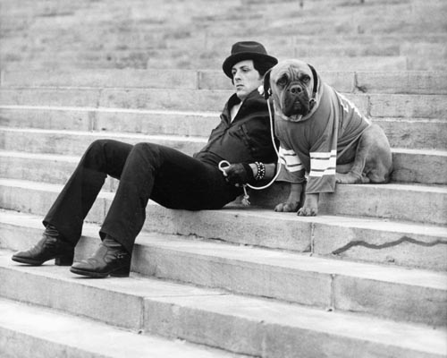 Stallone, Sylvester [Rocky] Photo