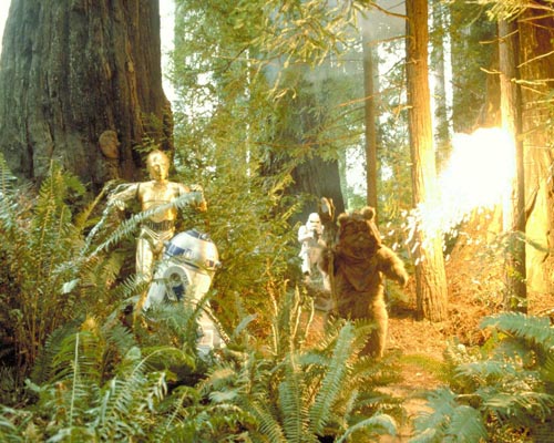 Star Wars [Cast] Photo