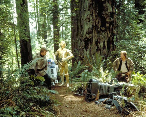 Star Wars [Cast] Photo