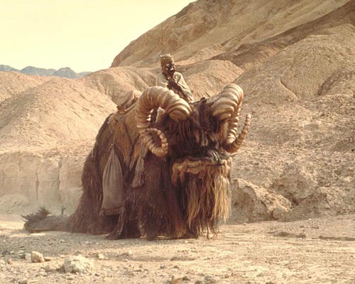 Star Wars [Cast] Photo