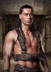 Te Maioha, Antonio [Spartacus : Blood and Sand]