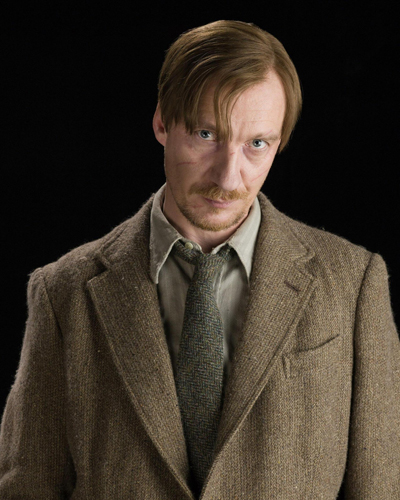 Thewlis, David [Harry Potter] Photo