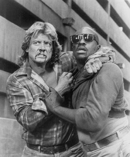 They Live [Cast] Photo