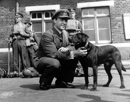Todd, Richard [The Dam Busters] Photo