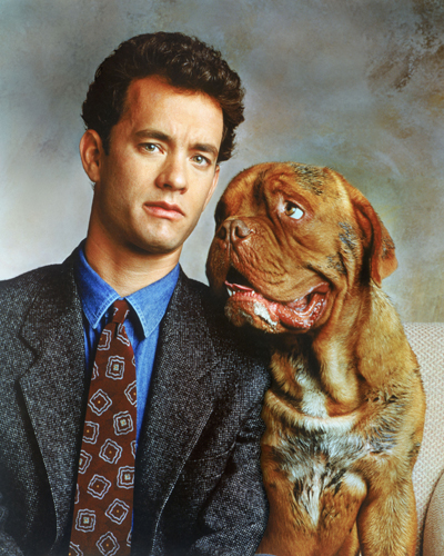 Turner and Hooch [Cast] Photo