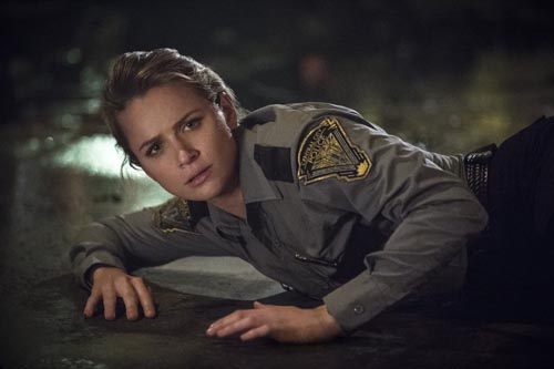 VanSanten, Shantel [The Flash] Photo