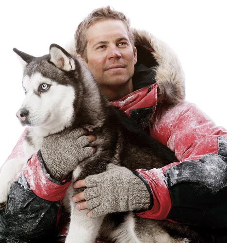 Walker, Paul [Eight Below] Photo