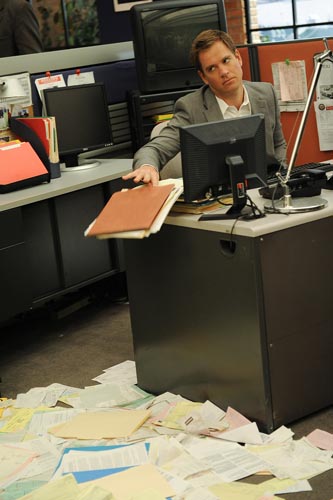 Weatherly, Michael [NCIS] Photo