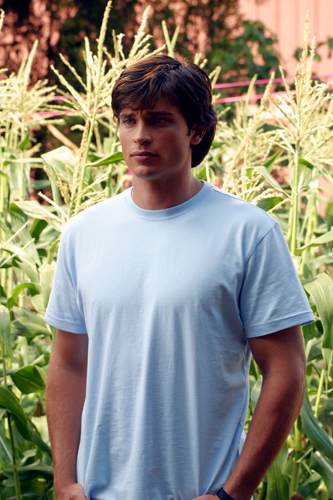 Welling, Tom [Smallville] Photo