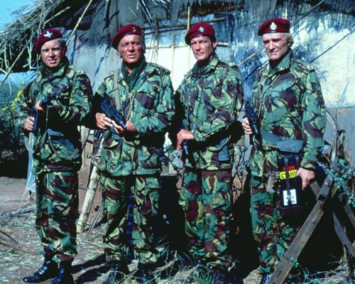 Wild Geese [Cast] Photo