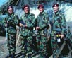 Wild Geese [Cast]