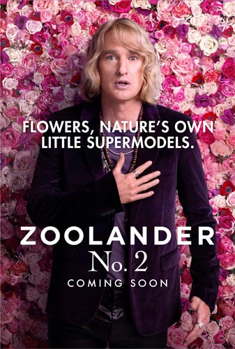 Wilson, Owen [Zoolander 2] Photo