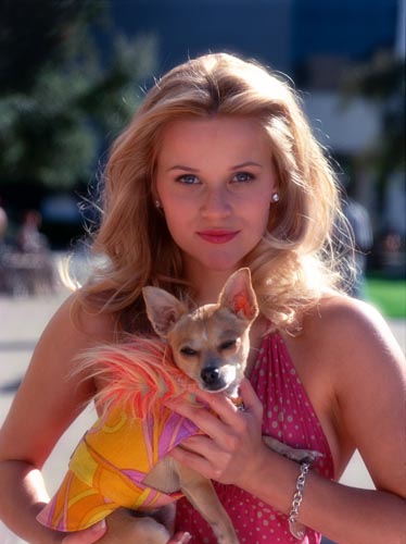 Witherspoon, Reese [Legally Blonde] Photo